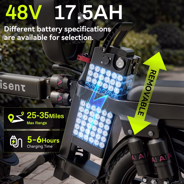 F9 Folding Black Electric Bike