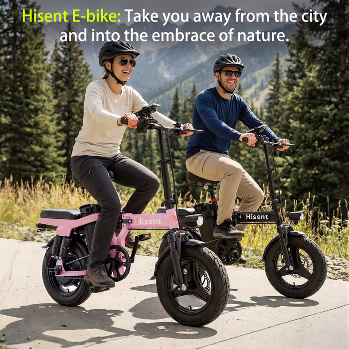 F9 Folding Black Electric Bike